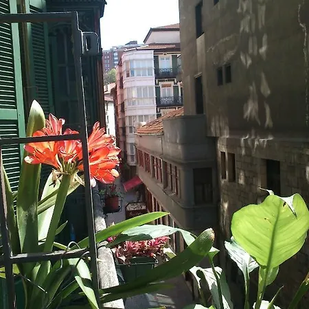 Πανσιόν Roquefer