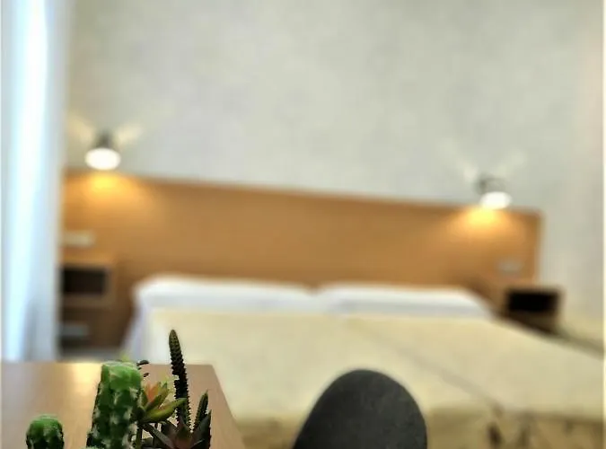 Roquefer Bilbao Central Rooms * Bilbao